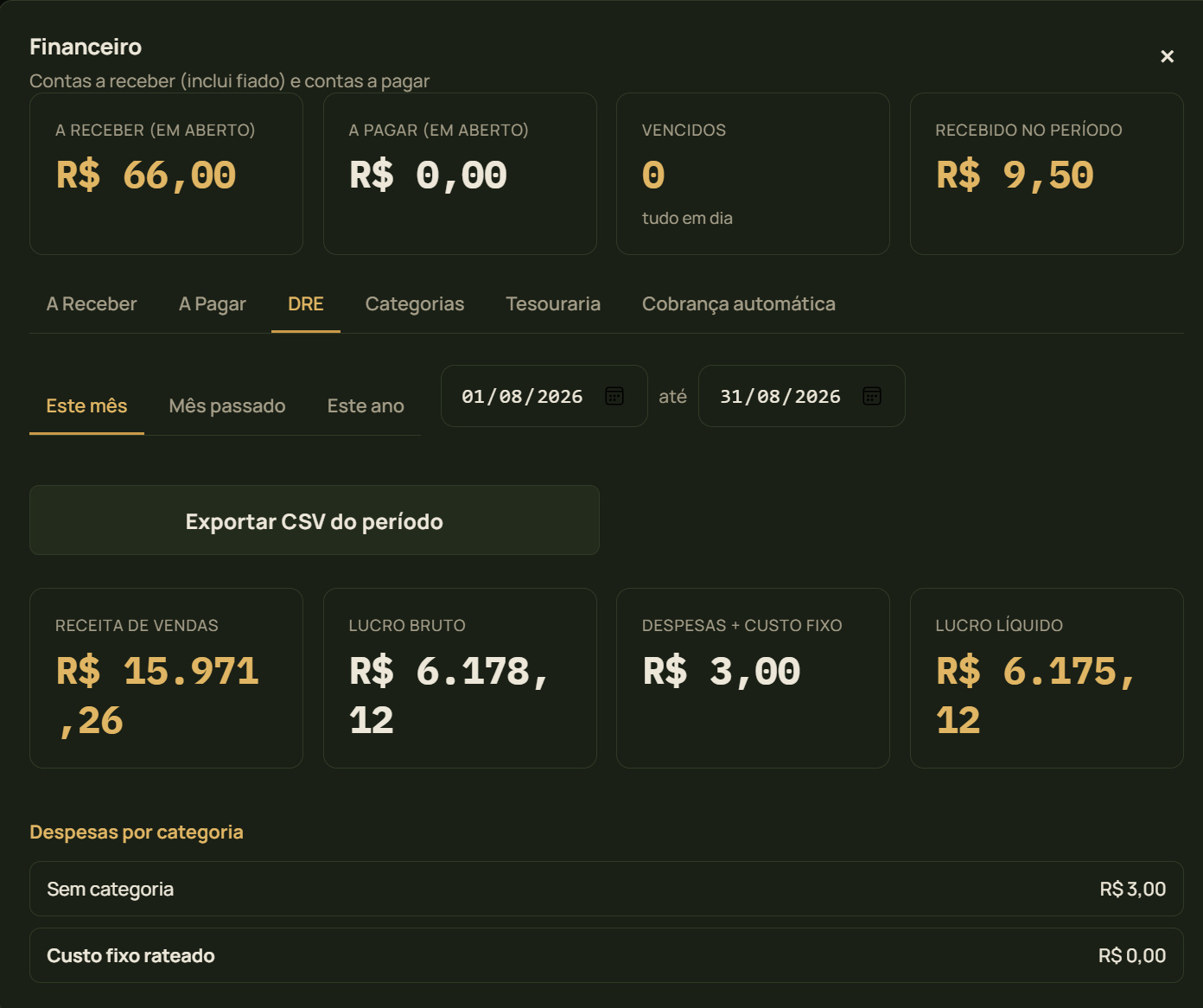 DRE com receita, lucro bruto, despesas e lucro líquido do período